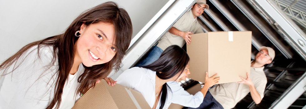 Professional Removalists NSW Springfield